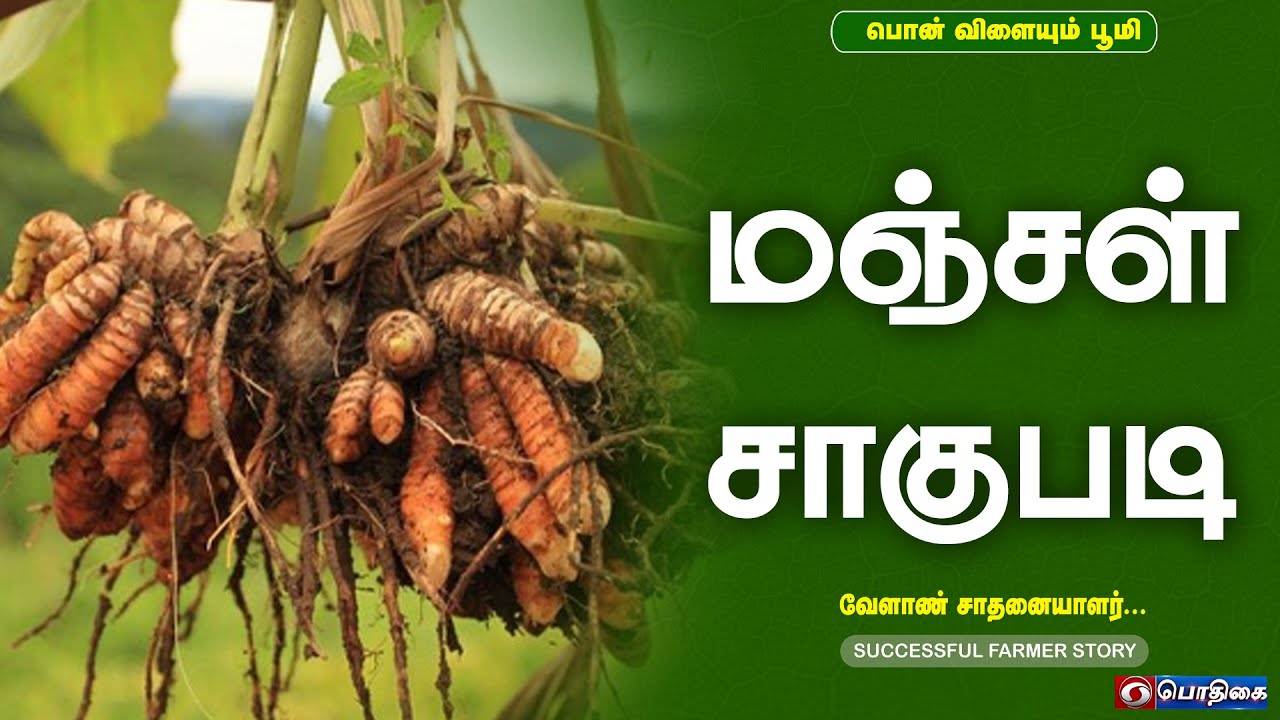 மஞ்சள் சாகுபடி | Successful Farmer Story