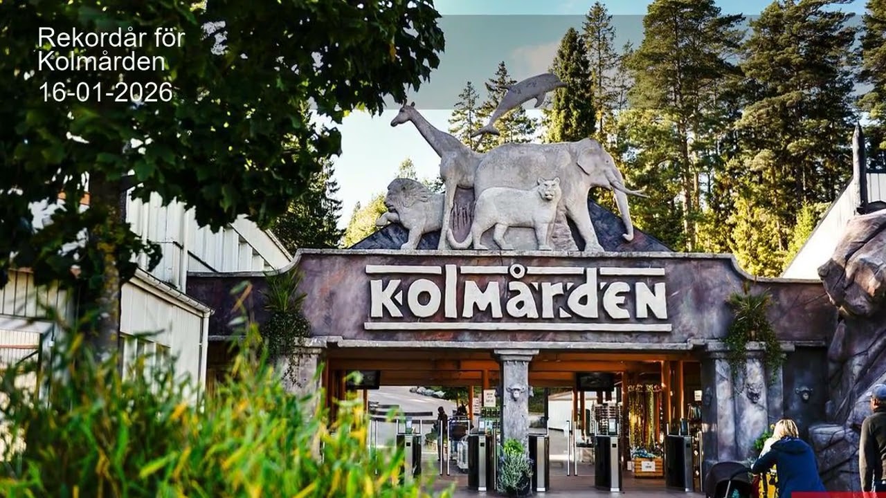 Rekordår för Kolmården