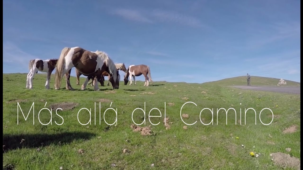 El Camino de Santiago. Más allá del camino.