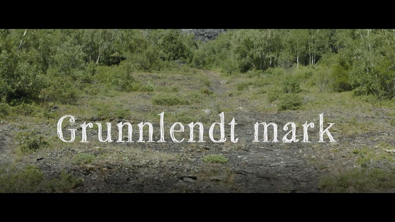 Naturtyper i Norge: Grunnlendt mark