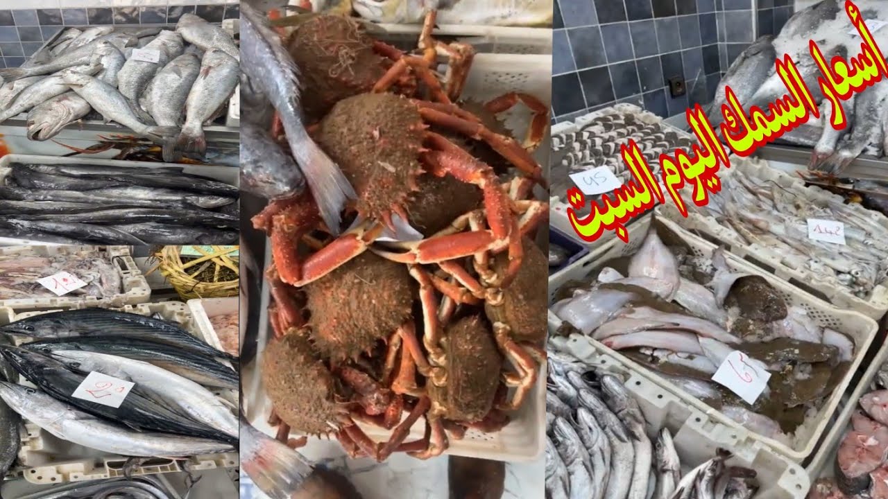 اثمنة اليوم السبت 28 فبراير رقم الواتساب :0642602285الخير موجود اللهم بارك 🎣🎏🎏🪼🎣🪼🎣