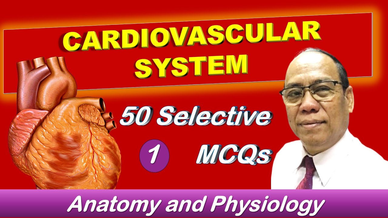Exam Evaluation Questions || MCQs || V.1