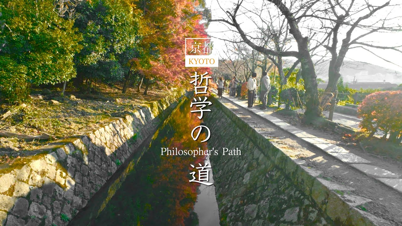 Kyoto Philosopher's Path Strolling. 2025 Autumn