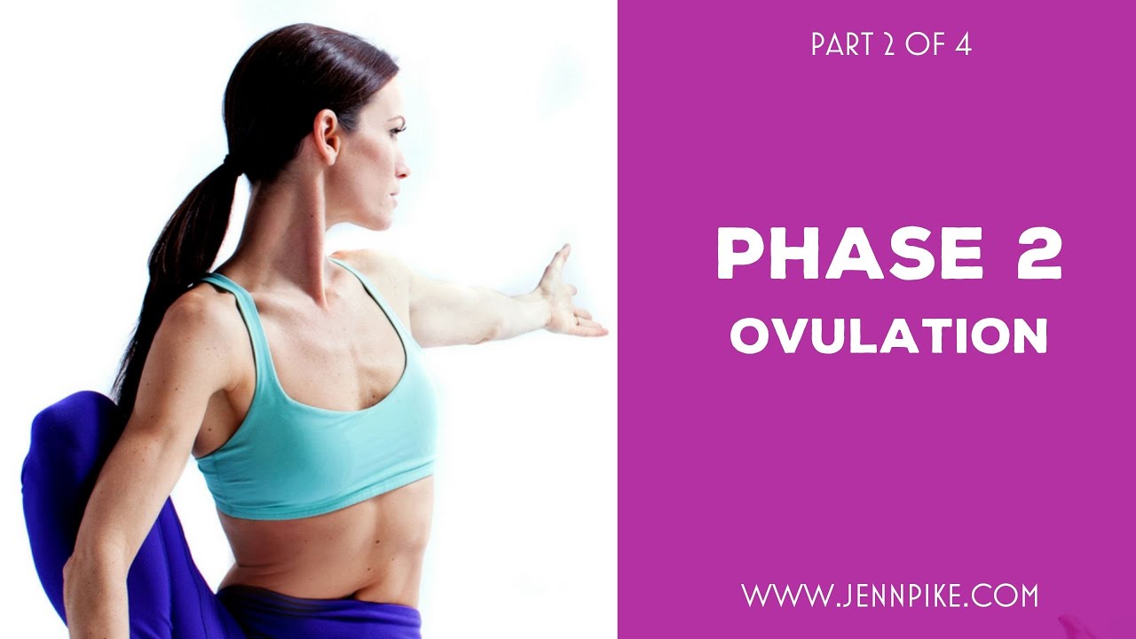 All About Phase Two | The Ovulatory Phase | Part 2 of 4