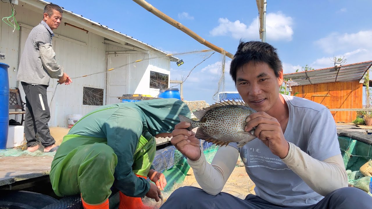 （Similar-looking marine fish）外型相似的海鱼//这两种常见的海鱼外型相似，价格却相差好几倍，看阿广如何区别