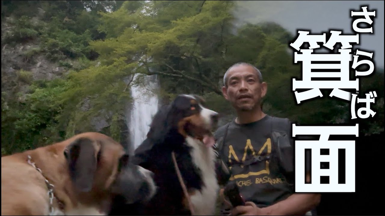 大阪から新居へ引っ越し！