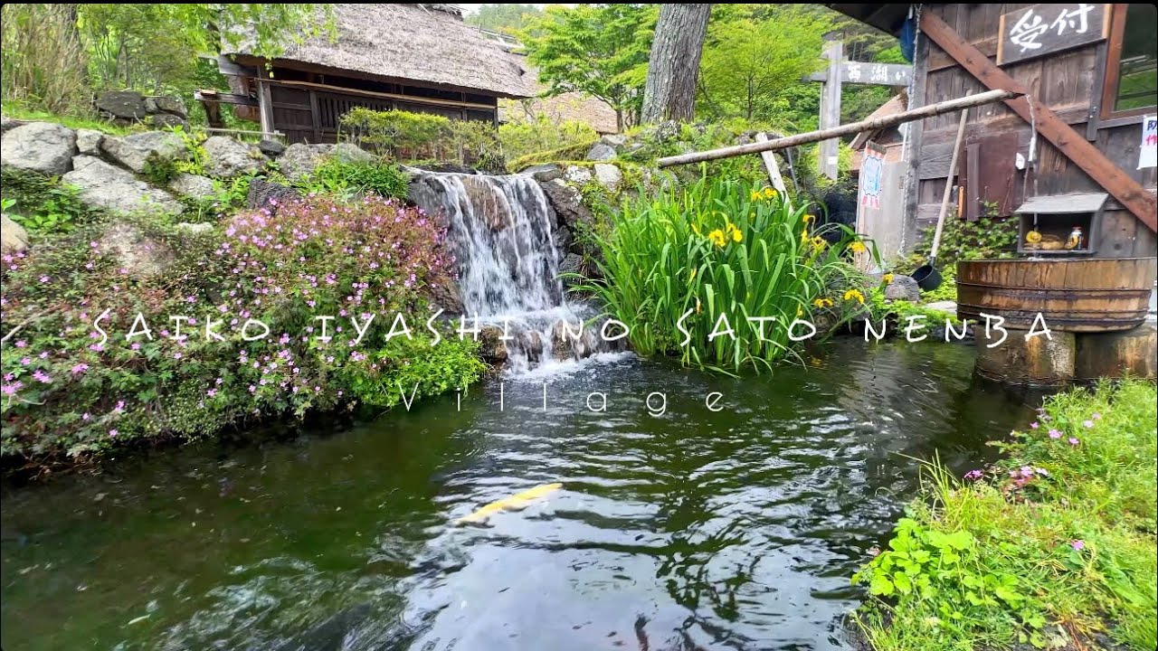 4K • ASMR • Saiko Iyashi no Sato Nenba | Walk Tour ( Part 1 )