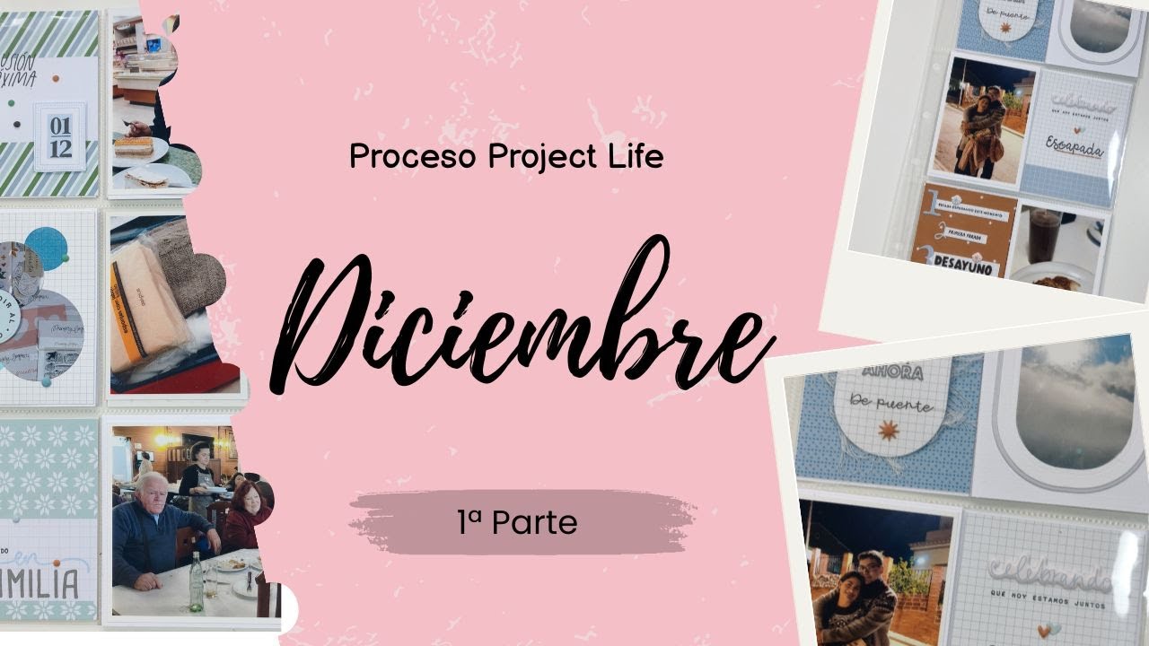 Proceso Project Life: Diciembre 1ª Parte