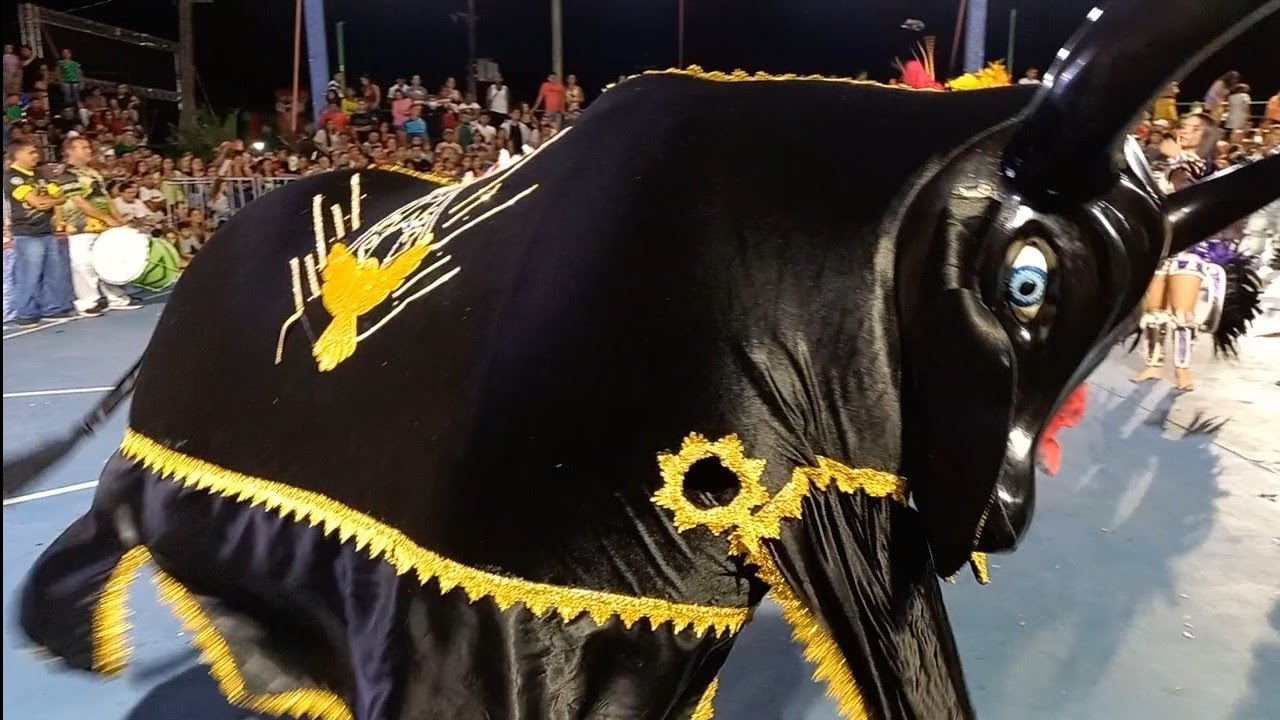 BOI ESTRELA CADENTE ADULTO   CAMPEÃO 2023 NA NOITE DOS CAMPEÕES XXI SÃO JOÃO DA PARNAÍBA