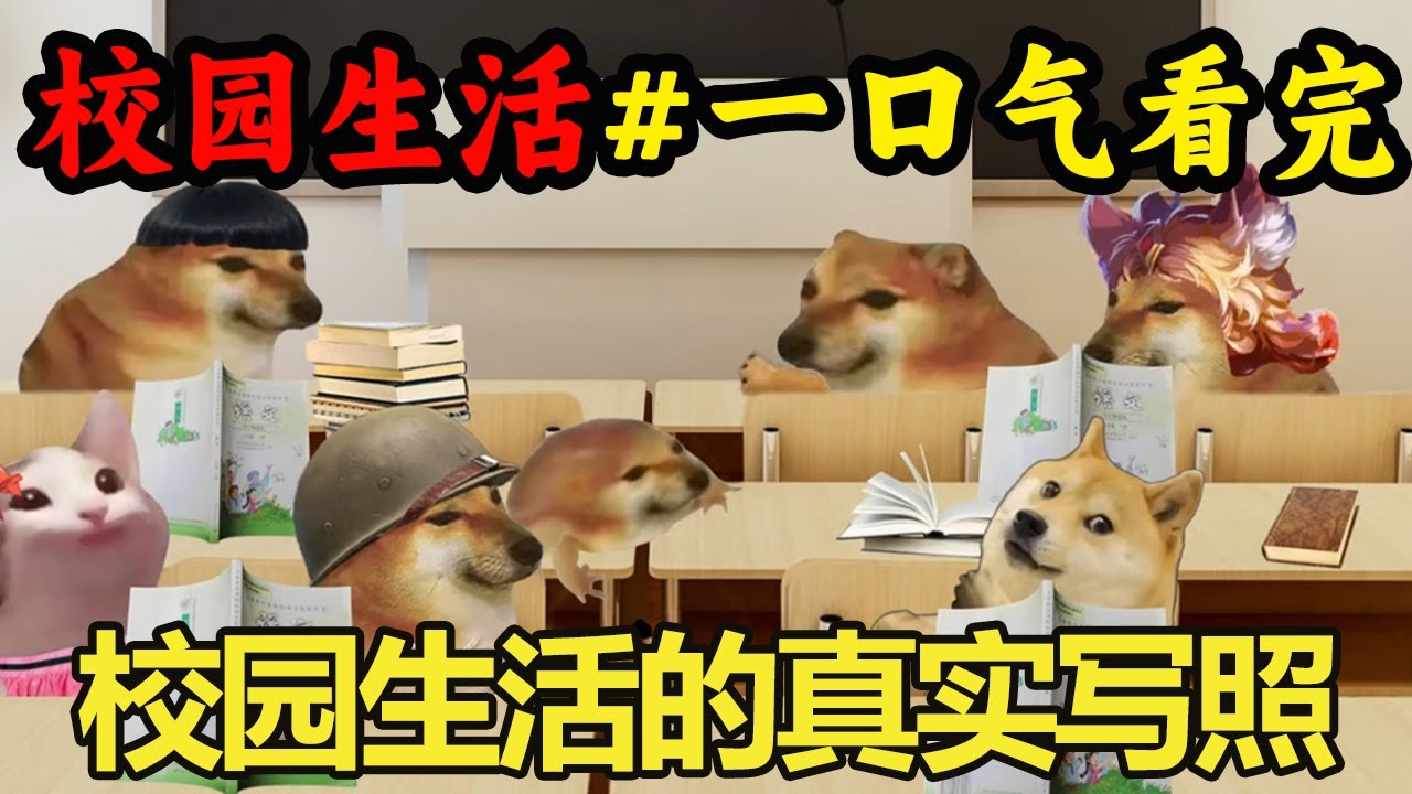 【校园生活】童年的校园生活，简直就是真实生活的写照，看看是不是你自己的样子【酸辣土狗丝】
