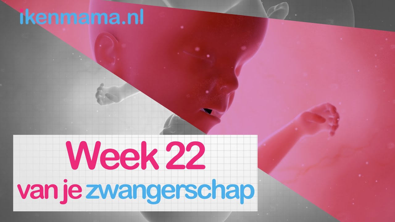 22 weken zwanger | ikenmama.nl
