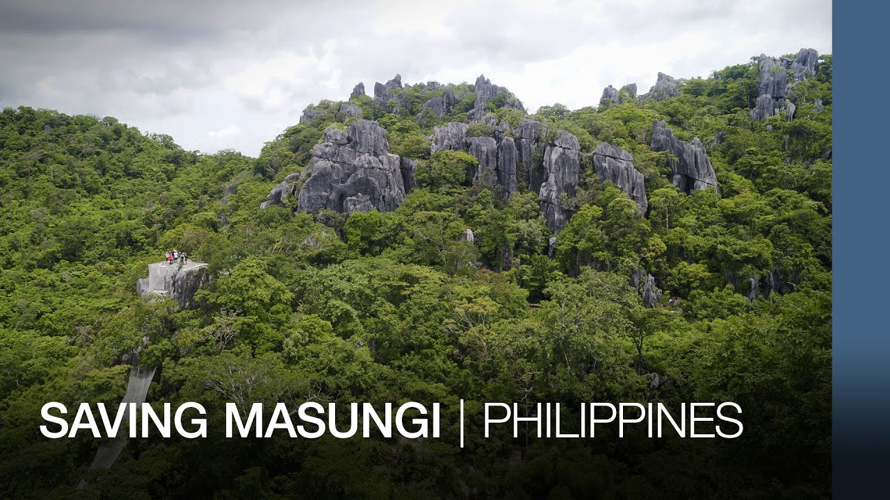 Saving Masungi | Philippines