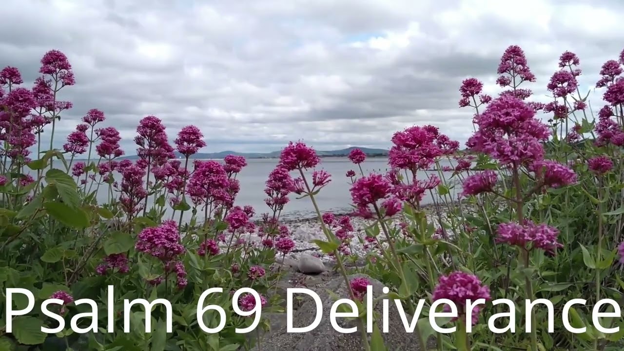 Psalm 69 Deliverance