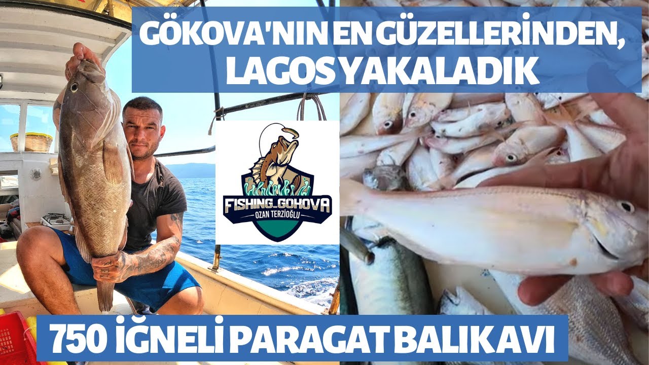 GÖKOVA PARAGAT AVI | 750 İĞNE İLE LAGOS, MERCAN, ÇİPURA, İSTAVRİT | ÇOK BEREKETLİ BİR AV OLDU