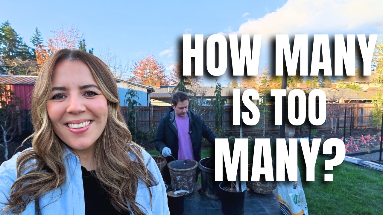Planting SUPER Rare Japanese Maples + Checking on Bees & Seedlings 🌿