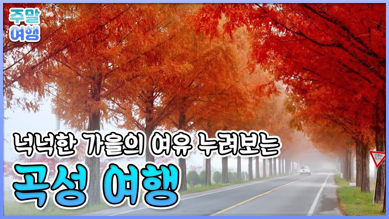 자연의 품안에서 여유를 느끼며 힐링하는🍁 전라남도 곡성여행 [테마기행길]