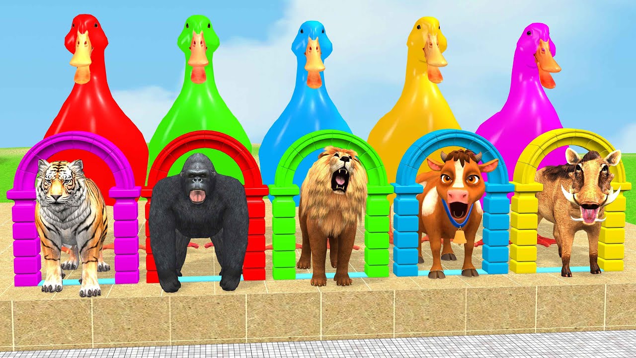 Long Slide Game With Cow Elephant Gorilla Hippopotamus Tiger 3d Animal Game Funny 3d AnimalsVideo