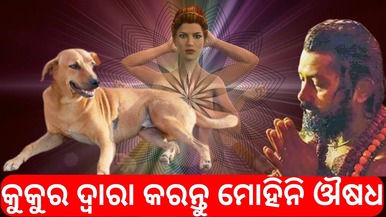 #TECBIGYAN #Vashikaranmantra Mohini Osho | Mohini Mantra | mohani | Vashikaran Odia | tecbigyan