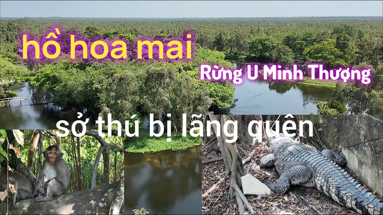 Tham Quan 