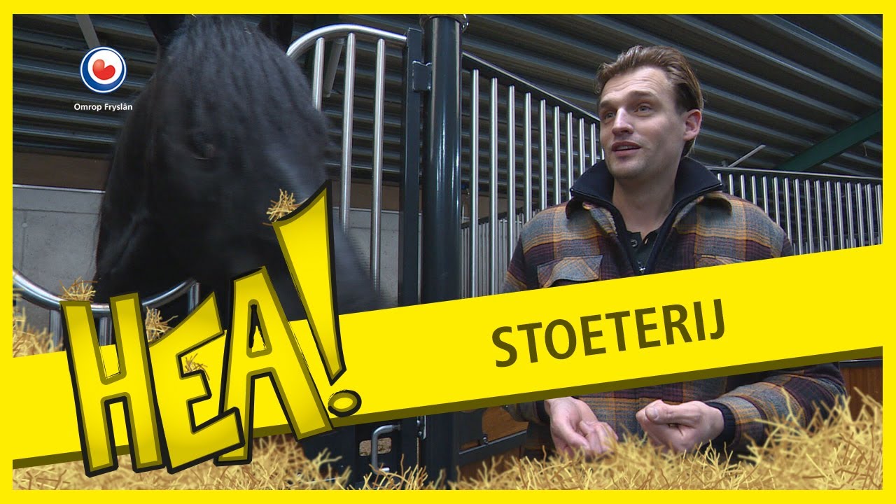 Stoeterij Friese Visser | HEA!