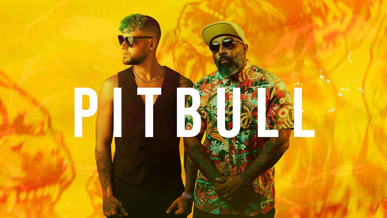 Menasa x Ataniro - Pitbull (OFFICIAL AUDIO)