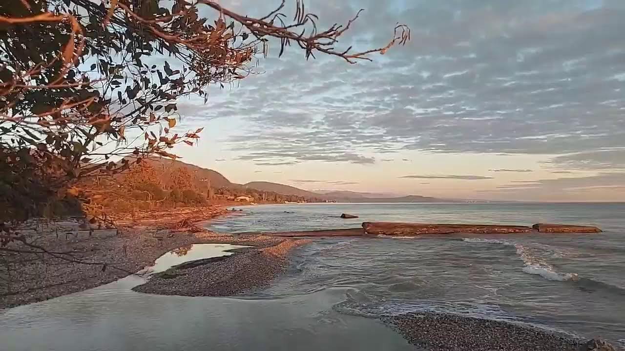 Рифыч и Абхазия прямой эфир Приморское море