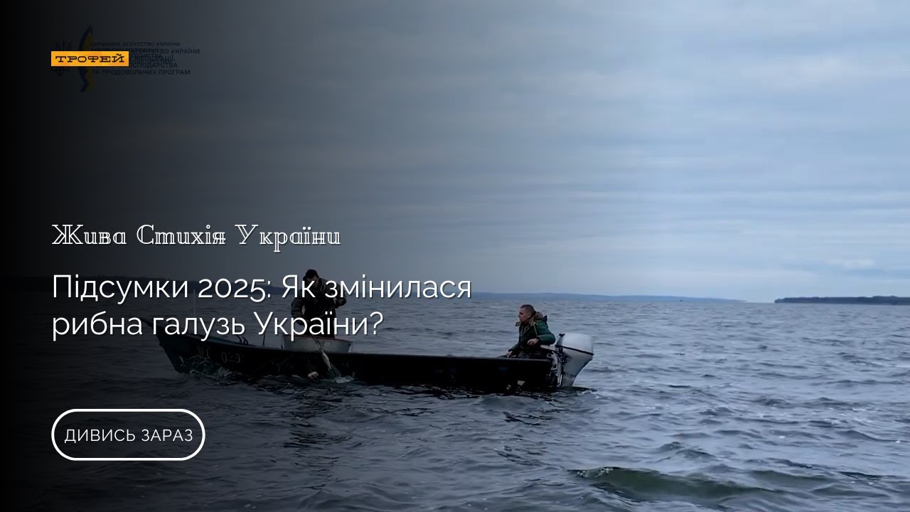 Підсумки 2025: Як змінилася рибна галузь України? 🐟🇺🇦