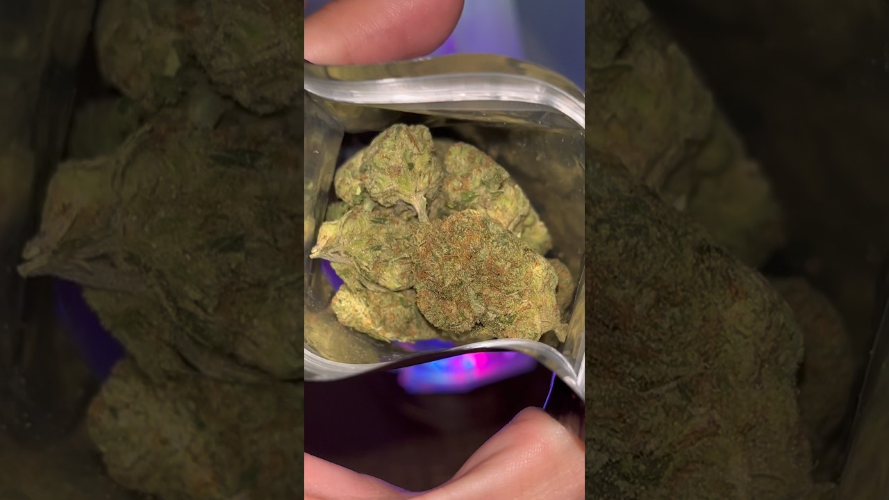 👽 Alien Rock Candy 🔥 💣 THCA SMALL BUDS #420 #420community #freetheplant