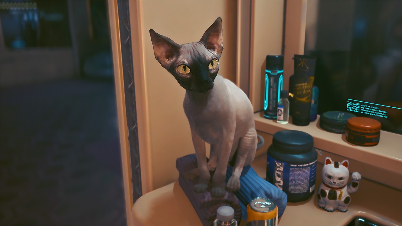 How to Get the Cat in Cyberpunk