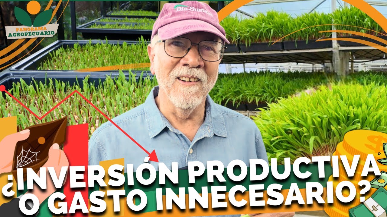 FORRAJE VERDE HIDROPÓNICO, HOBBY CARO | Panorama Agropecuario