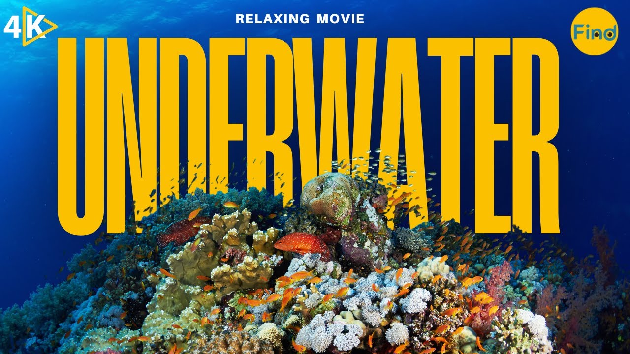 Serene Ocean Dreams: Relaxing Underwater Film with Calming Music