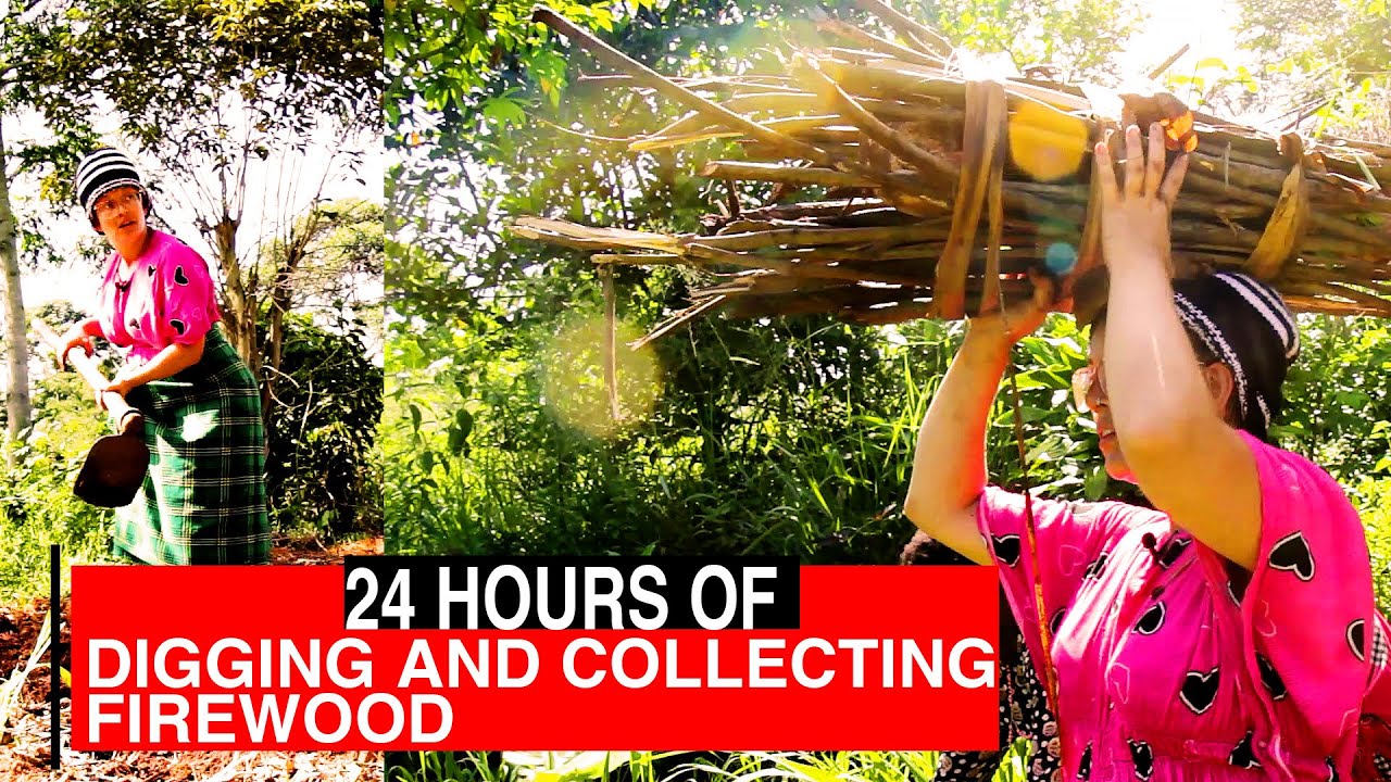 DIGGING AND COLLECTING FIREWOOD IN  UGANDA/24 HOURS OF VILLAGE LIFE, EPISODE 2