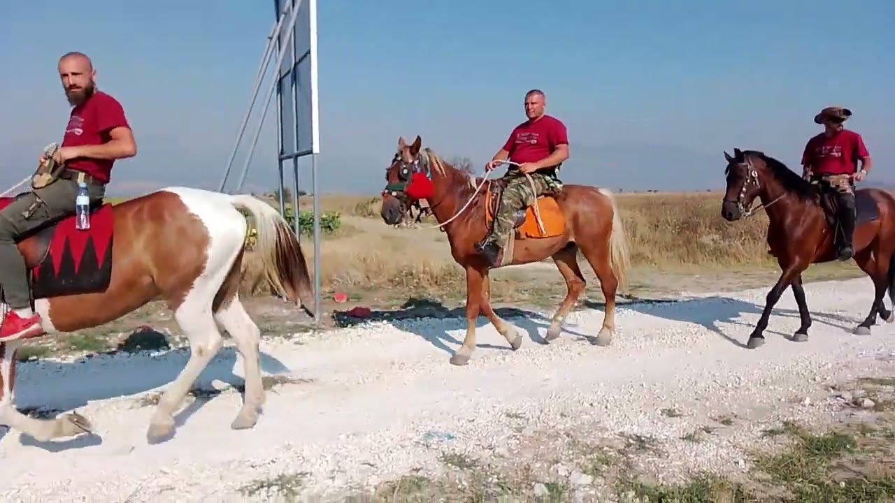 ILINDEN KONJANICA 2024 DABJANI
