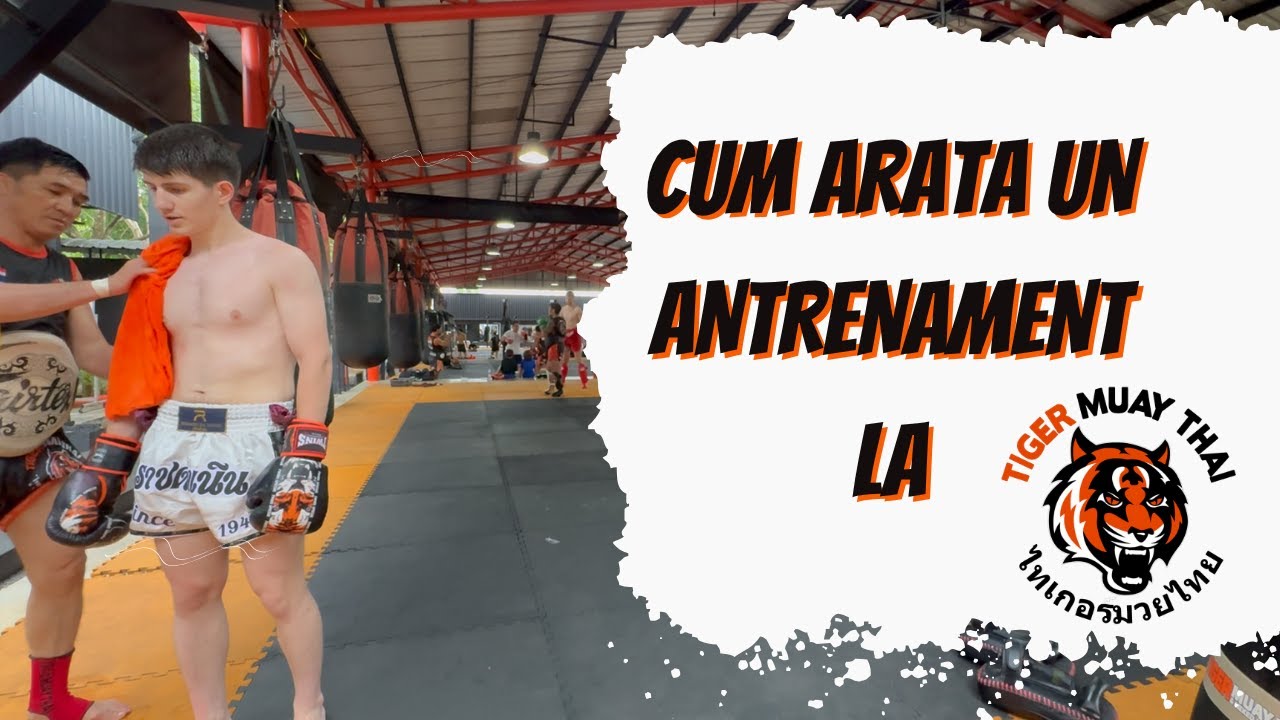 Cum Am Ajuns Sa Fiu Antrenat La TIGER GYM (CEA MAI CUNOSCUTA SALA DE MUAY THAI DIN LUME)