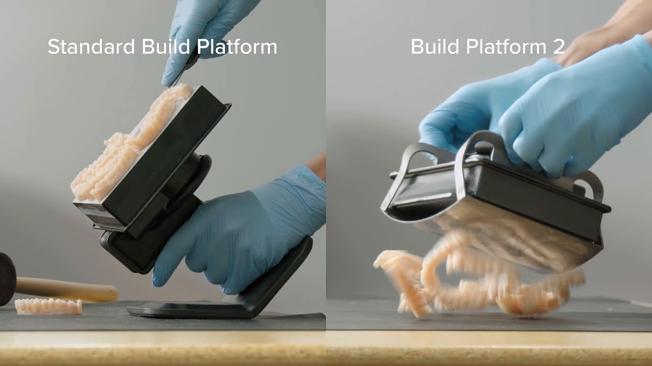 Removable Die Models with Build Platform 2