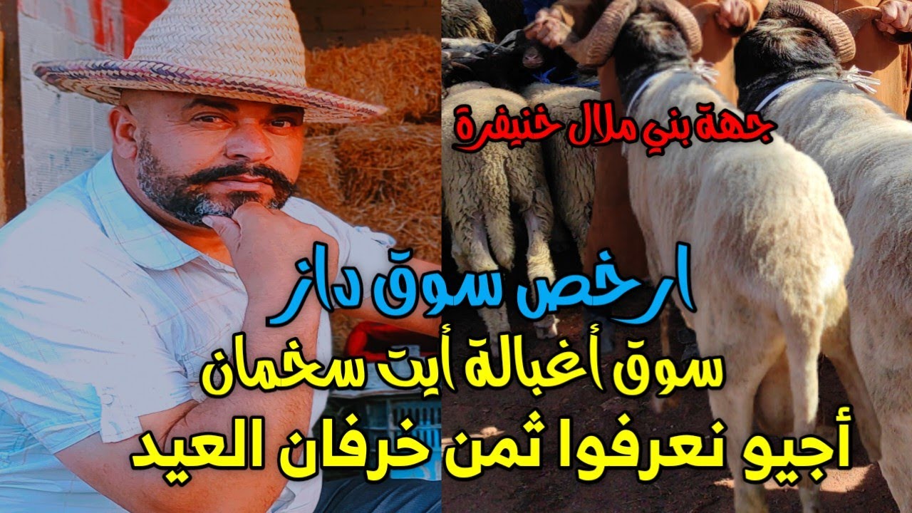 مباشرة من أرخص سوق... أجيوا اجيو نعرفوا  اثمنة الحولي أغبالة أيت سخمان  #سوق #خنيفرة #ميدلت#تمحضيت