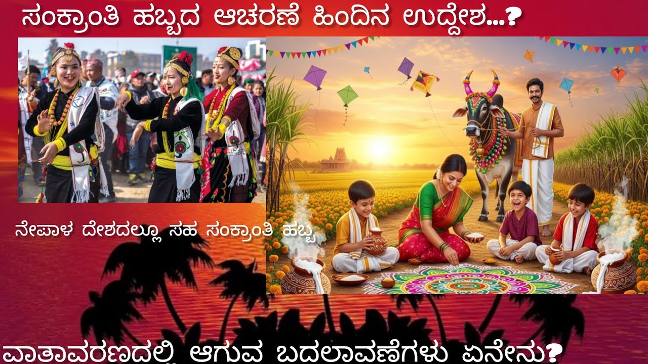 ಸಂಕ್ರಾಂತಿ ಹಬ್ಬದ ವಿಶೇಷತೆ #sankranti festival #scientific reason 