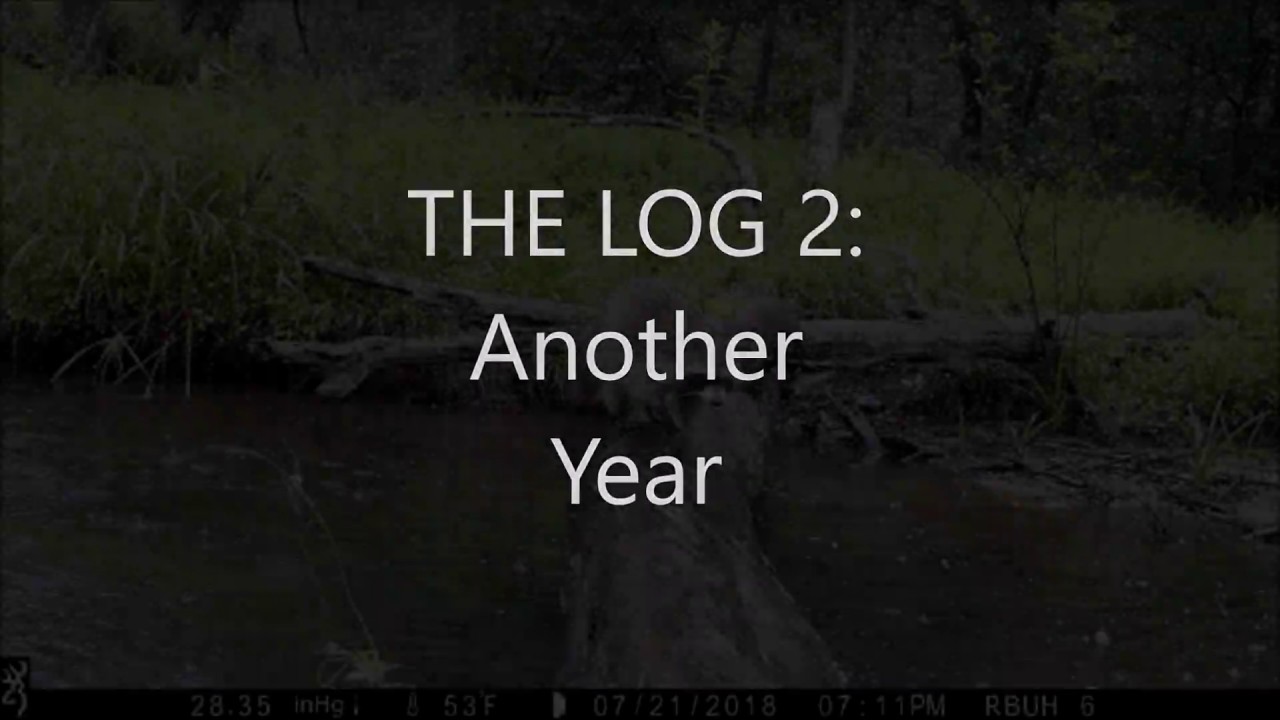 The Log 2: Another year