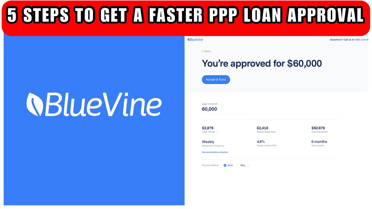 How to GET APPROVED for 2021 PPP Loan| 5 steps to GET APPROVED FASTER|Bluevine Lendio Kabbage Paypal