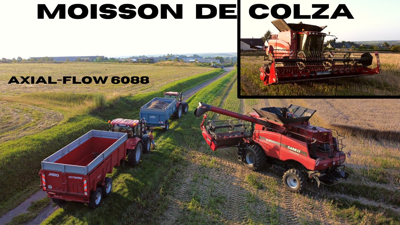 Retour sur la Moisson du Colza/ AXIAL-FLOW 6088