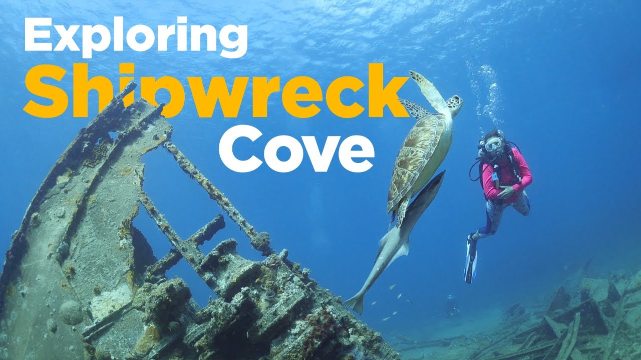 Scuba Diving the Cartanza (Shipwreck Exploration - St. Thomas)