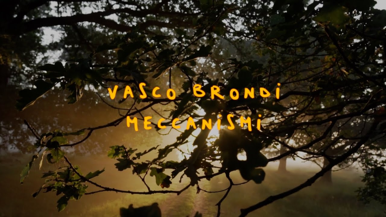 Vasco Brondi - Meccanismi (Video Lyrics)