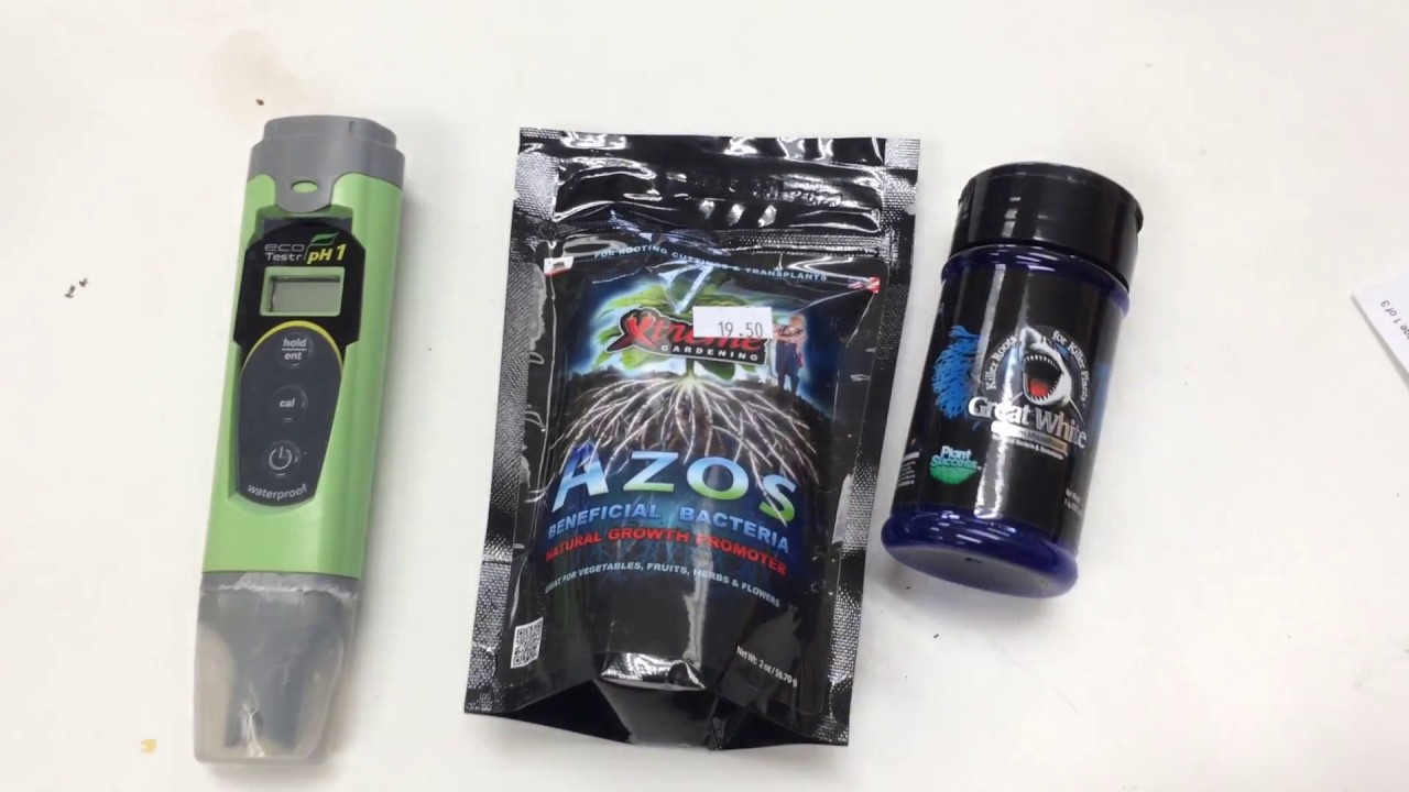 AZOS vs. Great White, The Bubbling Bucket presents Myco Shootout!