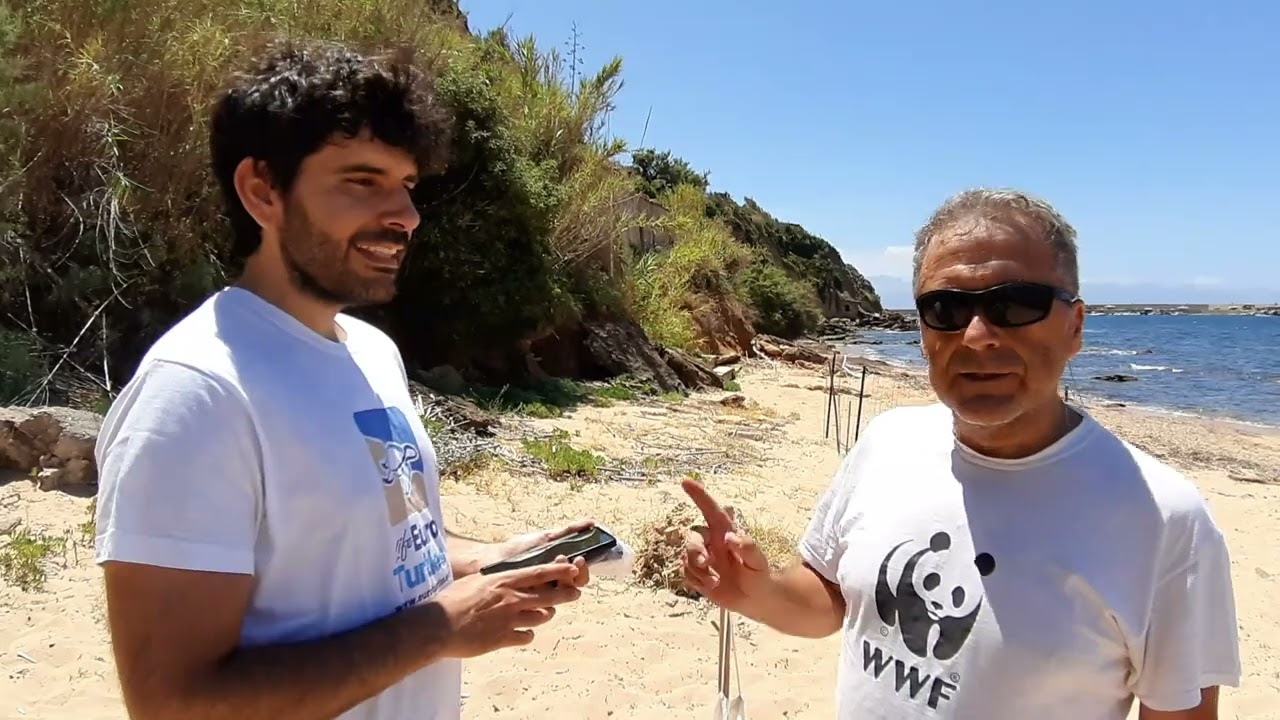 Nidificazione di una Caretta caretta a Trappeto