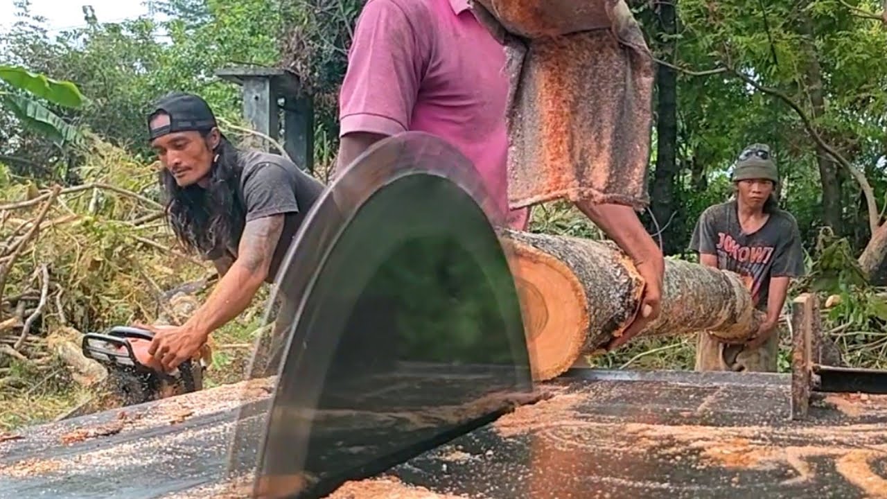KAYU JATI KEBUN ISTIMEWA ‼️ bahan balok - gergaji mesin serkel rakitan