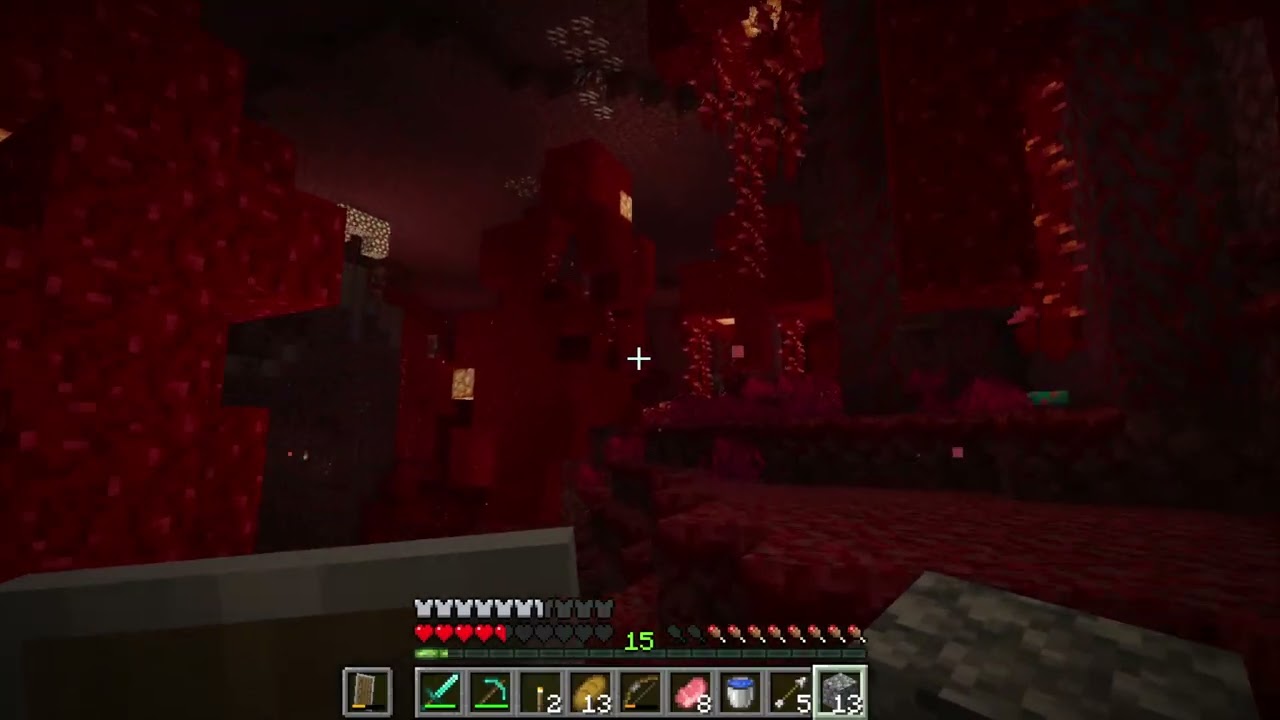 Minecraft #20