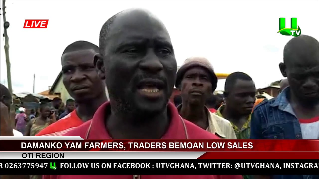 Oti Region:  Damanko Yam Farmers, Traders Bemoan Low Sales