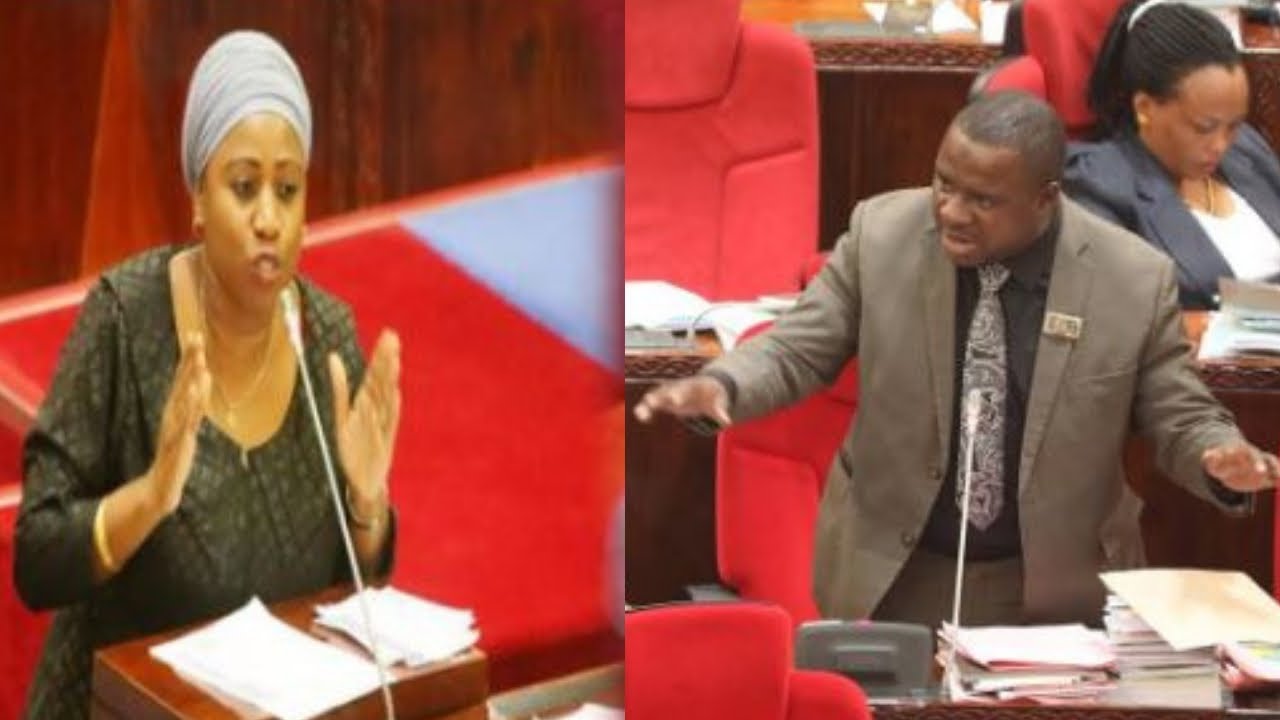 CHECHE za SUGU BUNGENI Leo, Avuruga BUNGE, MAWAZIRI 3 WAMTULIZA - 