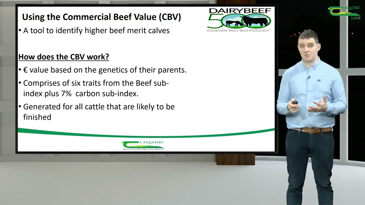 DairyBeef 500 Webinar, January 30th 2024.