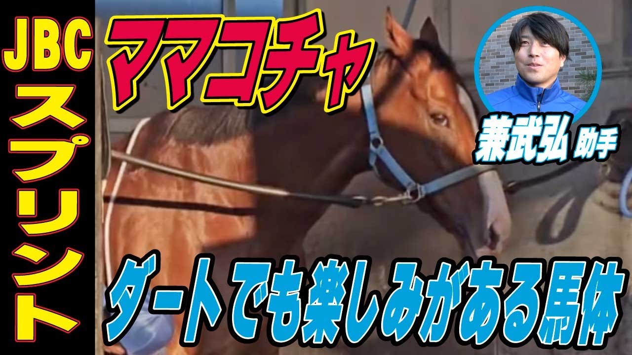 【JBCスプリント2025】ママコチャ・兼武弘助手インタビュー「ダートでも楽しみがある馬体」「スタートが鍵に」《東スポ競馬》